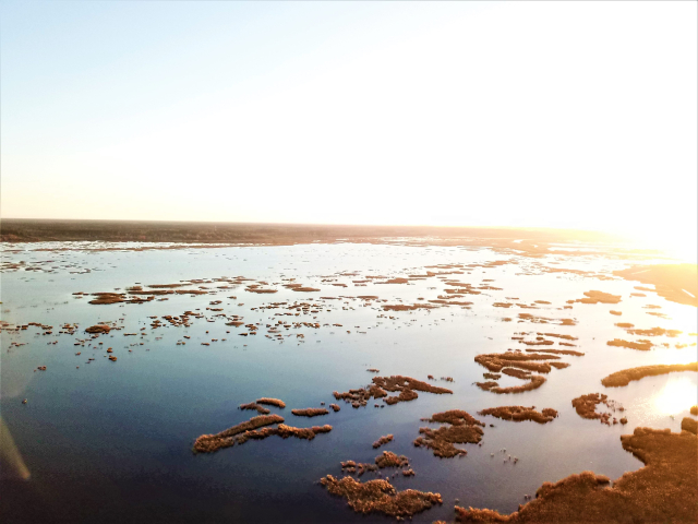 dji-0122.jpg
